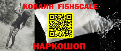 прущие крисы Кингисепп