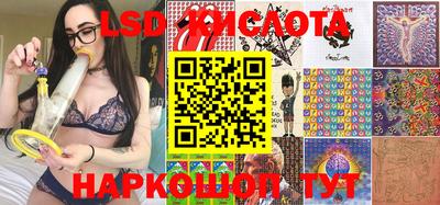 прущие крисы Кингисепп