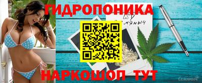 прущие крисы Кингисепп