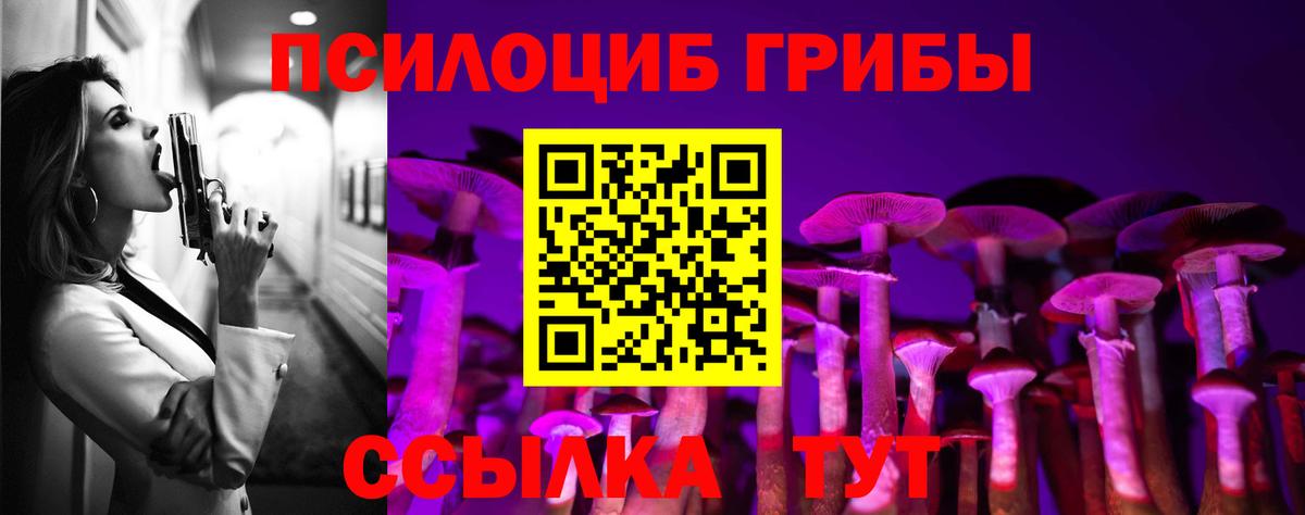 Псилоцибиновые грибы Psilocybe Хасавюрт